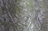 Brechin fibreglass roof work